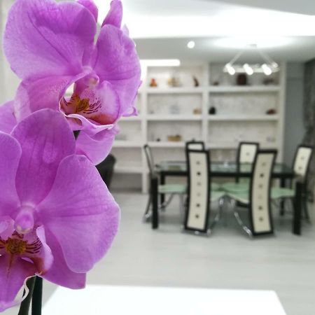 Paradise Apartament Брашов Экстерьер фото