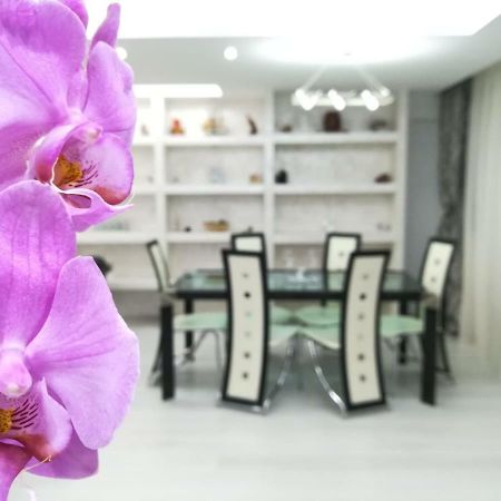 Paradise Apartament Брашов Экстерьер фото