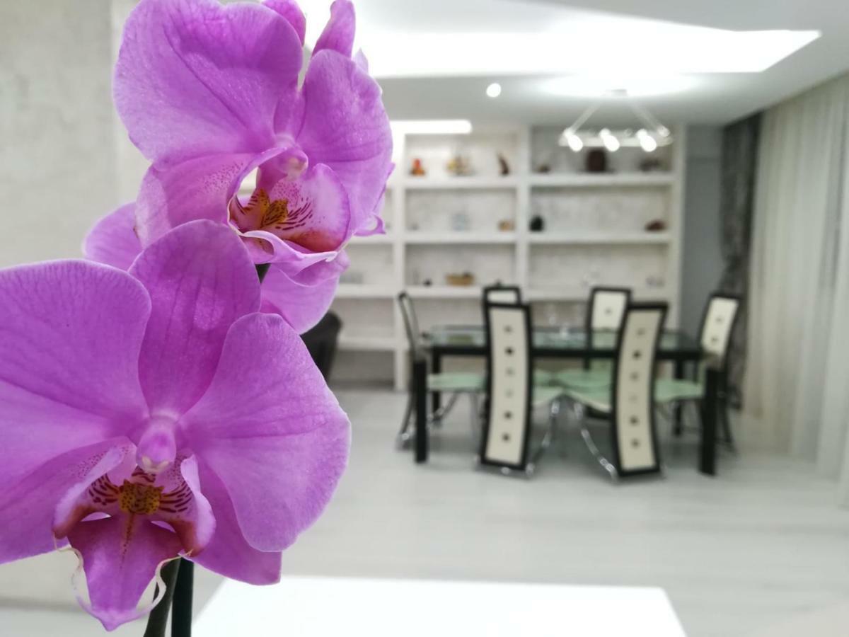 Paradise Apartament Брашов Экстерьер фото