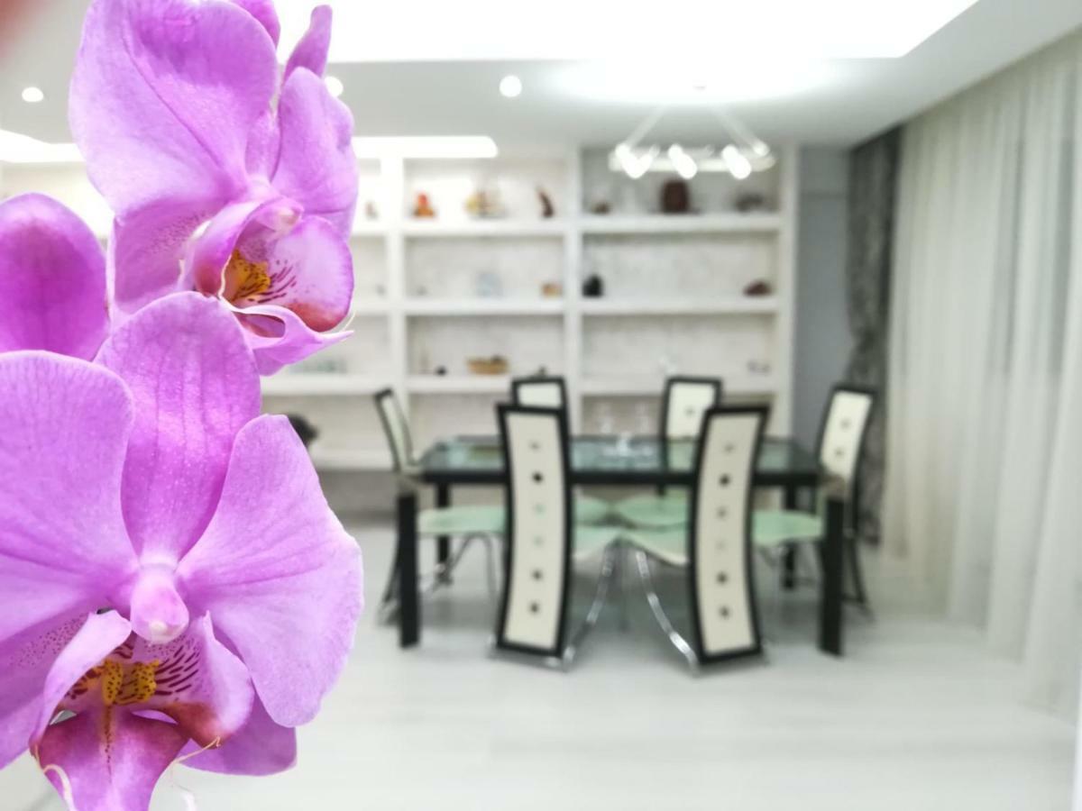 Paradise Apartament Брашов Экстерьер фото