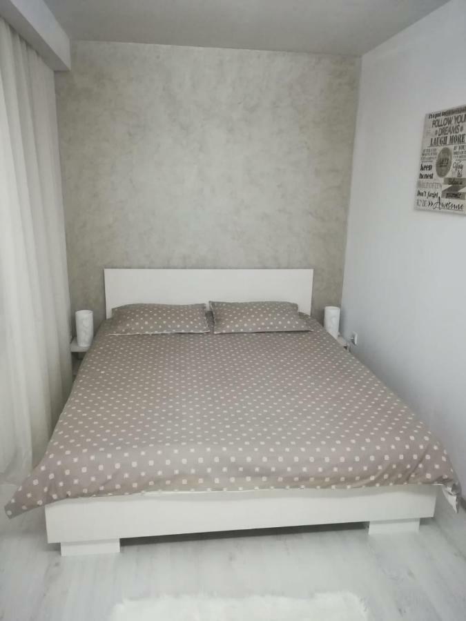 Paradise Apartament Брашов Экстерьер фото