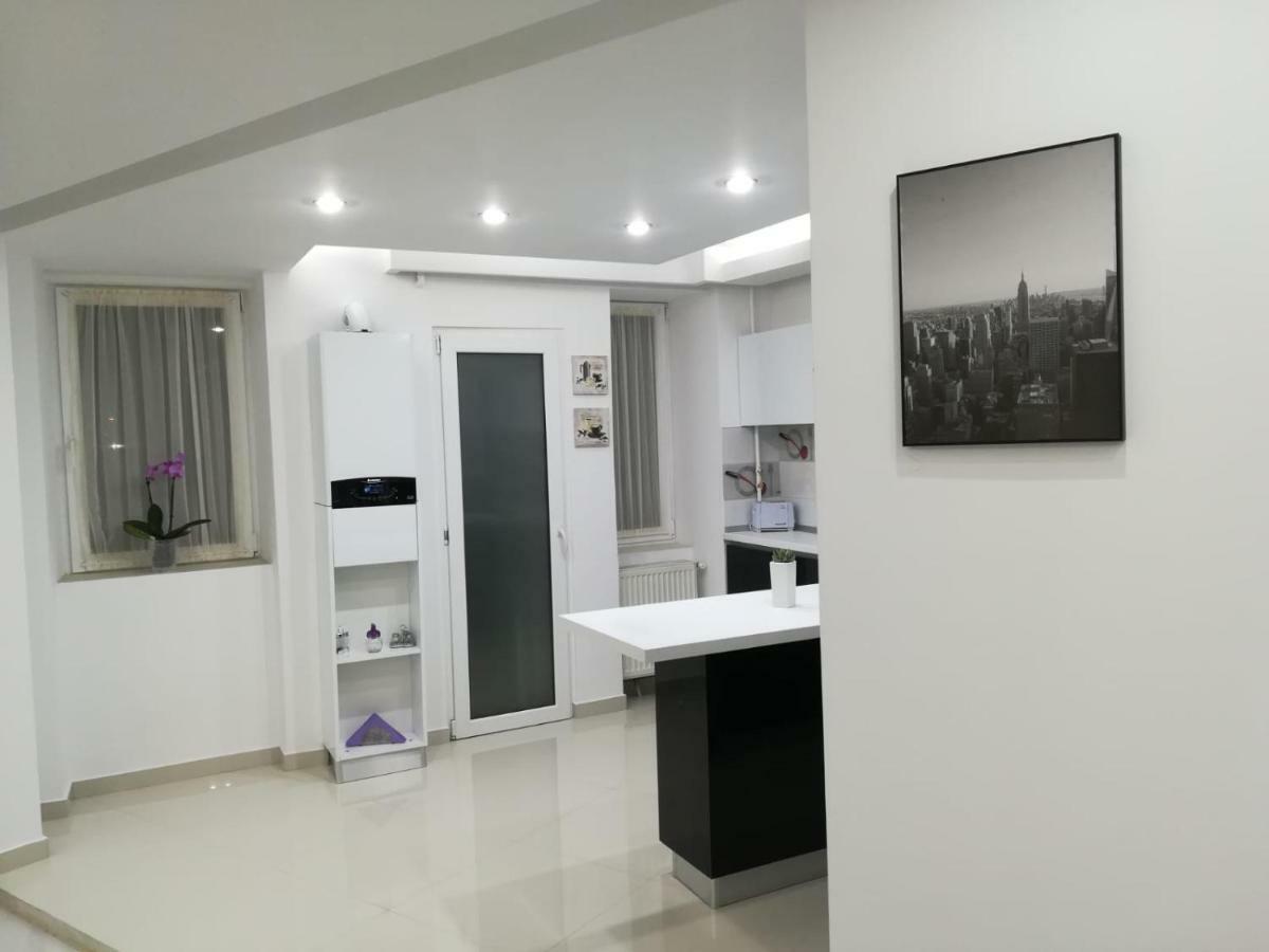 Paradise Apartament Брашов Экстерьер фото